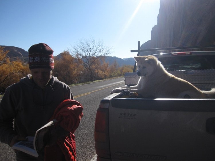 kc - BB-Stella_1776(LR)