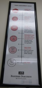 kc - pain - 2008(lr)