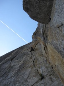 kc - sd cookie IMG_0980