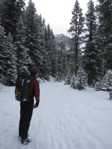 kc - hyal start IMG_1992