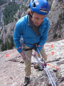 kc - rap rig IMG_3532(LR)